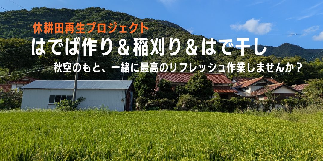 【10/3・4開催】休耕田再生 〜はでば作り＆稲刈り＆はで干しのお手伝い募集〜