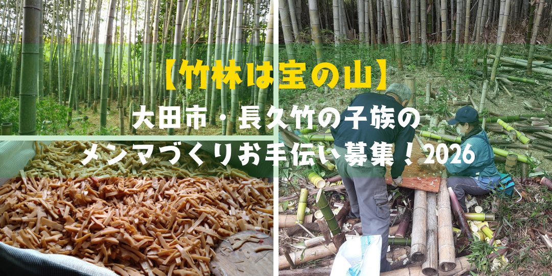 【竹林は宝の山】大田市・長久竹の子族のメンマづくりお手伝い募集!2026