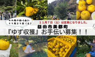 【毎年大好評！】益田市美都町で『ゆず収穫』お手伝い募集！