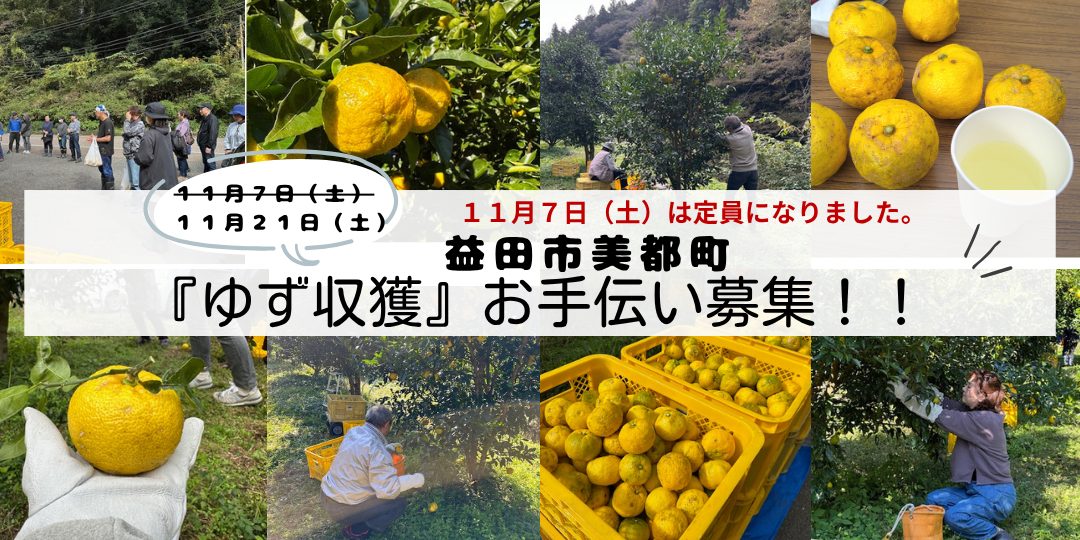 【毎年大好評!】益田市美都町で『ゆず収穫』お手伝い募集!