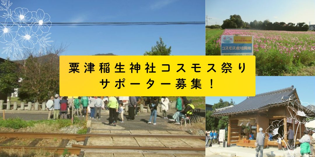 【11/21】粟津稲生神社コスモス祭り サポーター募集!