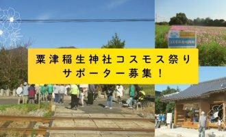 【11/21】粟津稲生神社コスモス祭り サポーター募集！