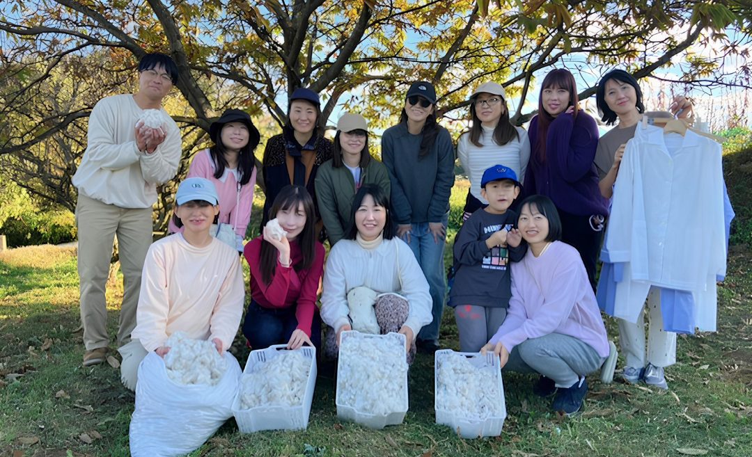 【11/7・8開催】「つなぐ棚田遺産認定」の山王寺の棚田で棚田祭り&コットン収穫体験イベント サポーター募集